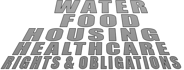WATER FOOD HOUSING HEALTHCARE RIGHTS & OBLIGATIONS  